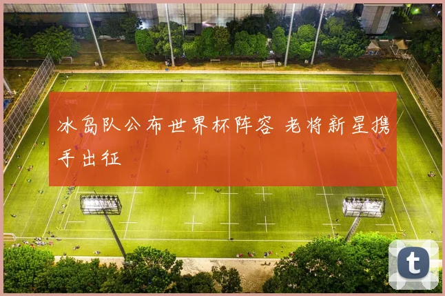 冰岛队公布世界杯阵容 老将新星携手出征