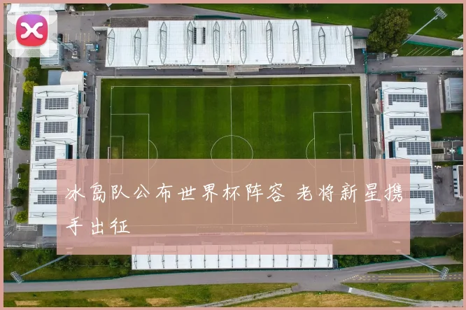 冰岛队公布世界杯阵容 老将新星携手出征