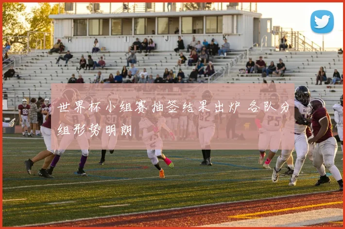 世界杯小组赛抽签结果出炉 各队分组形势明朗