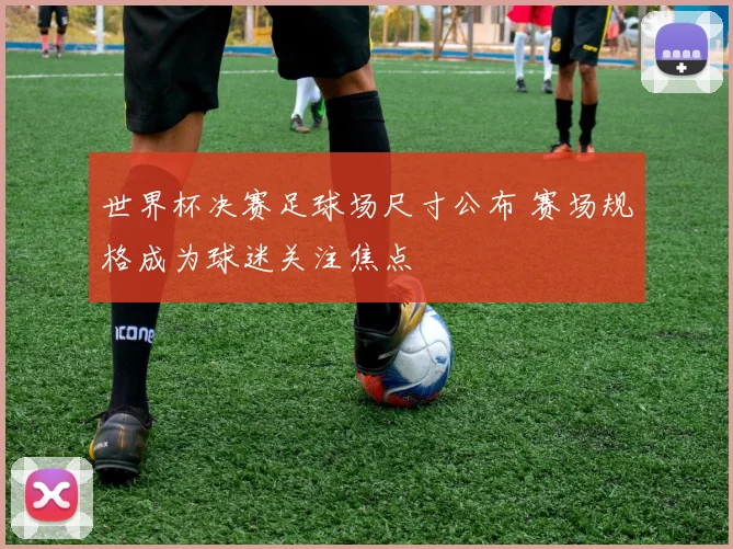 世界杯决赛足球场尺寸公布 赛场规格成为球迷关注焦点
