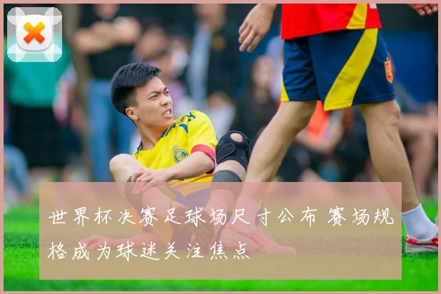 世界杯决赛足球场尺寸公布 赛场规格成为球迷关注焦点